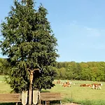 Monteurwohnung Schinderhannes Lejlighed