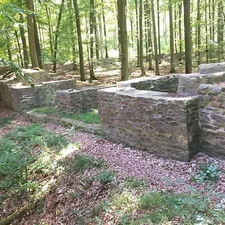Monteurwohnung Schinderhannes Appartement