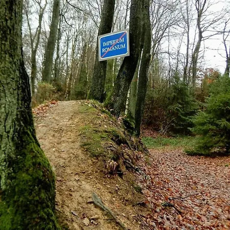 Ferienwohnung Schinderhannes * Miehlen