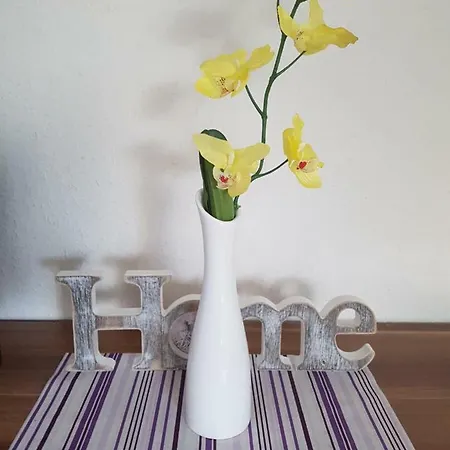 Apartment Ferienwohnung Schinderhannes *