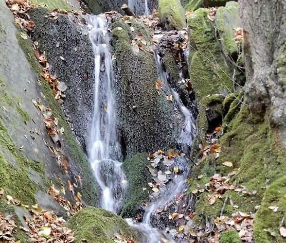 Monteurwohnung Schinderhannes 아파트 Miehlen