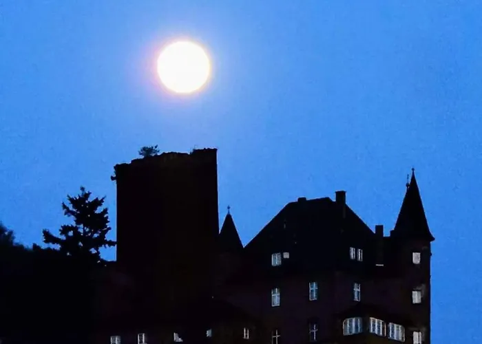 아파트 Monteurwohnung Schinderhannes