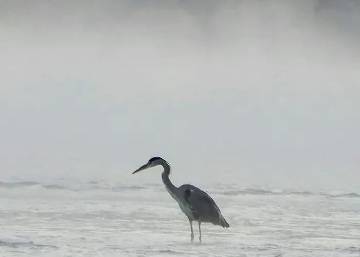Monteurwohnung Schinderhannes *
