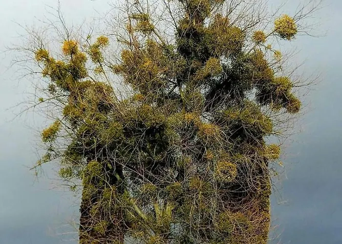 아파트 Monteurwohnung Schinderhannes *