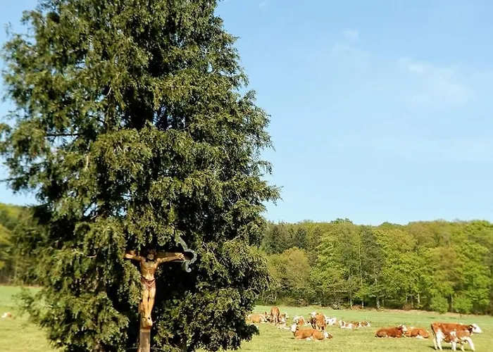 Monteurwohnung Schinderhannes 아파트