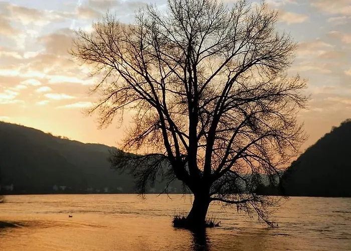 Monteurwohnung Schinderhannes 아파트 Miehlen