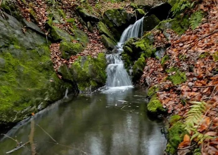 아파트 Monteurwohnung Schinderhannes Miehlen