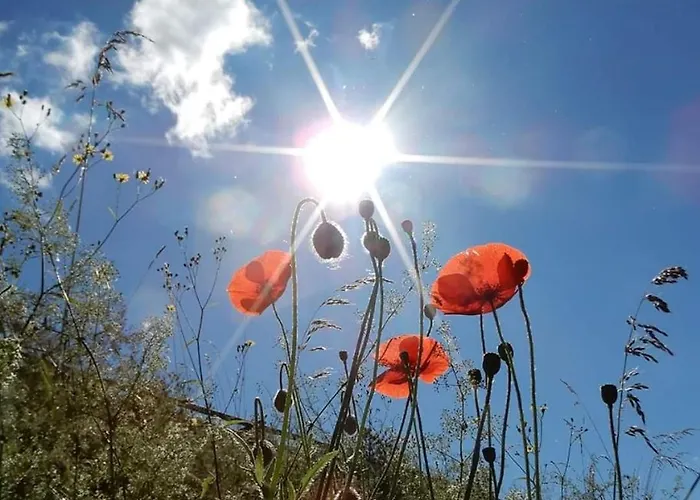 Monteurwohnung Schinderhannes *