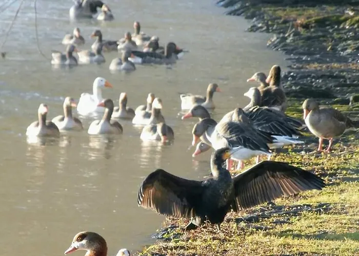 Monteurwohnung Schinderhannes * Miehlen