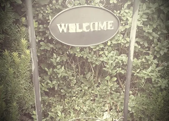 Monteurwohnung Schinderhannes 아파트 *